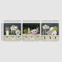 Wallity Conjunto de 3 Pinturas Decorativas en Lienzo Multicolor